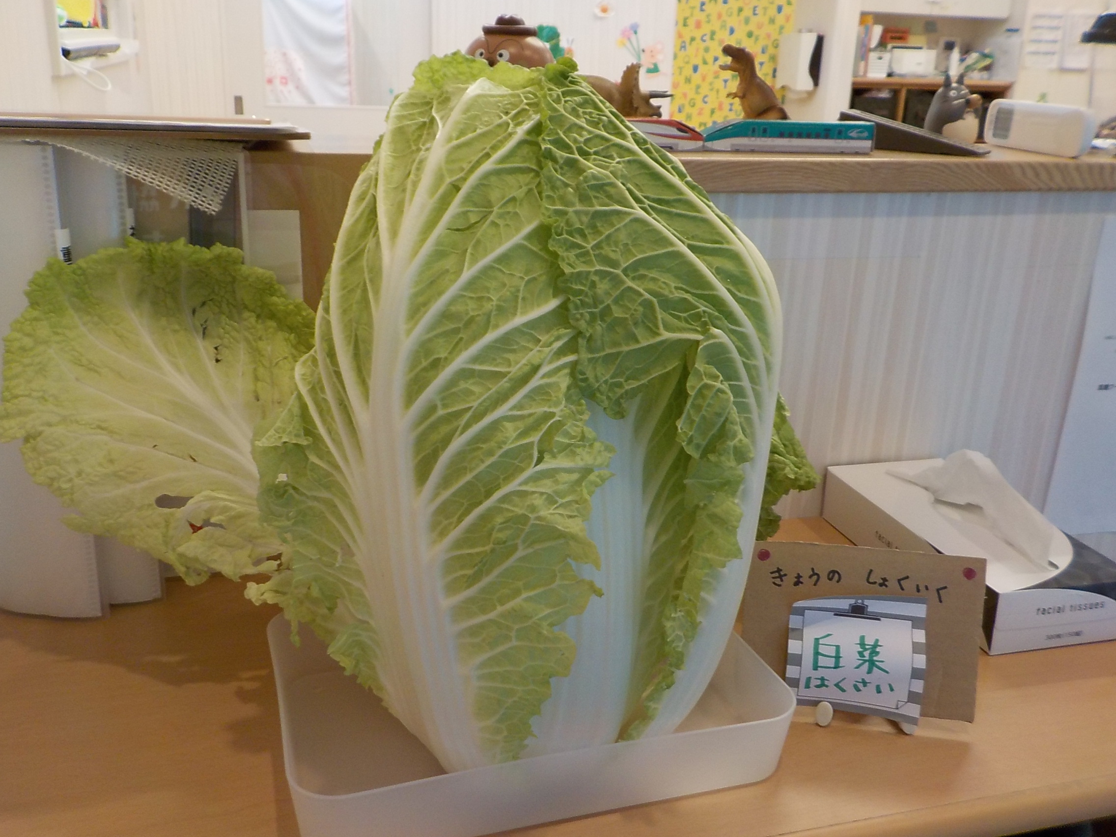 2025/11/14 今月の食育