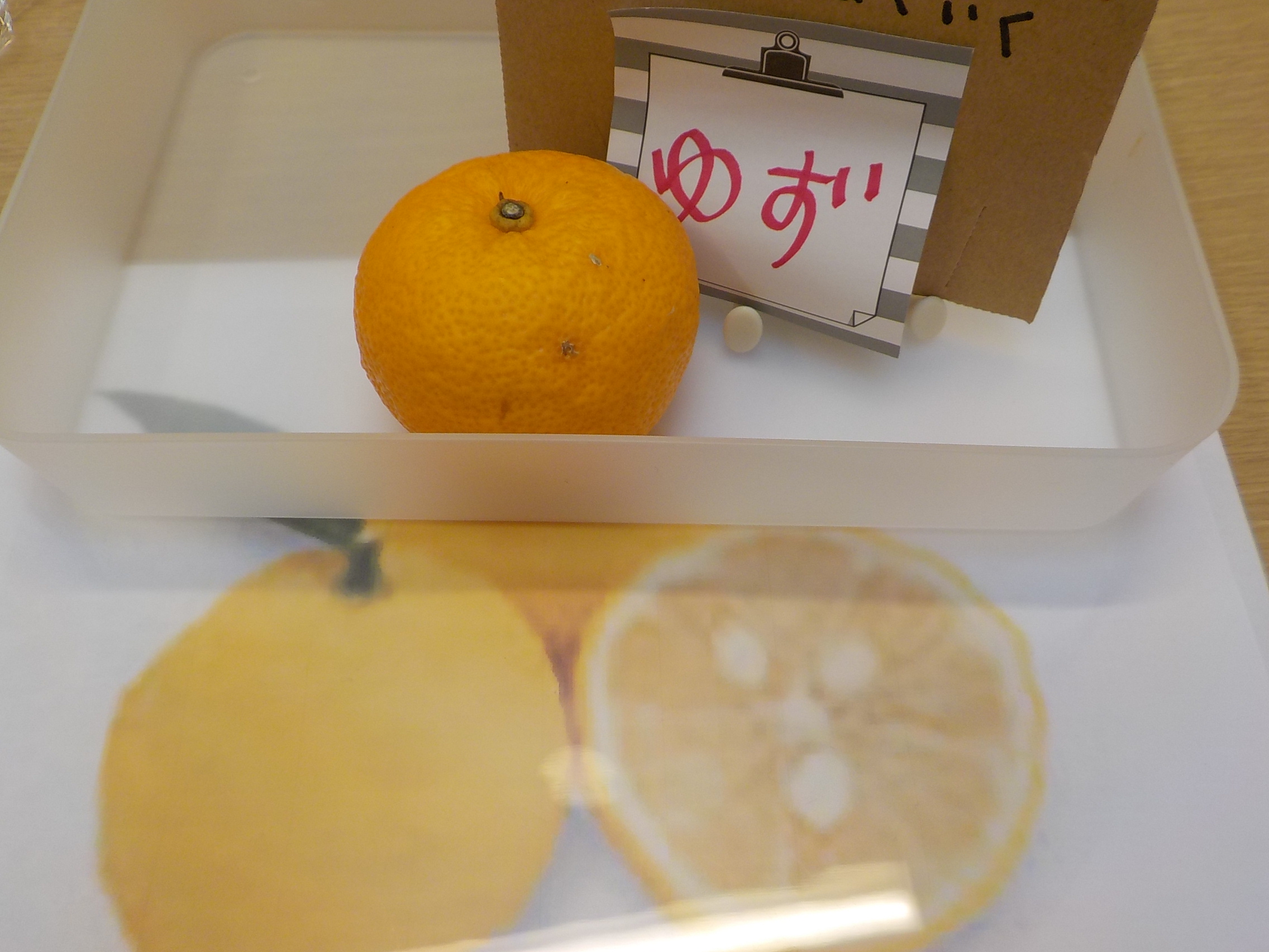 2026/2/12今月の食育